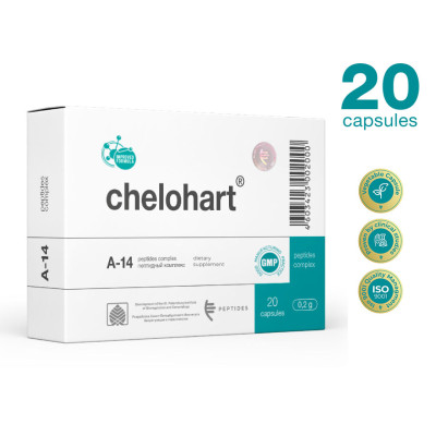 CHELOHART 20